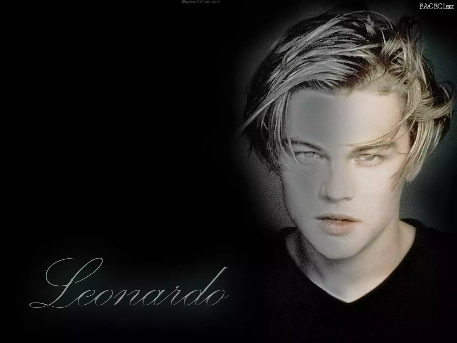 Aktor, Leonardo DiCaprio, Åšwietny