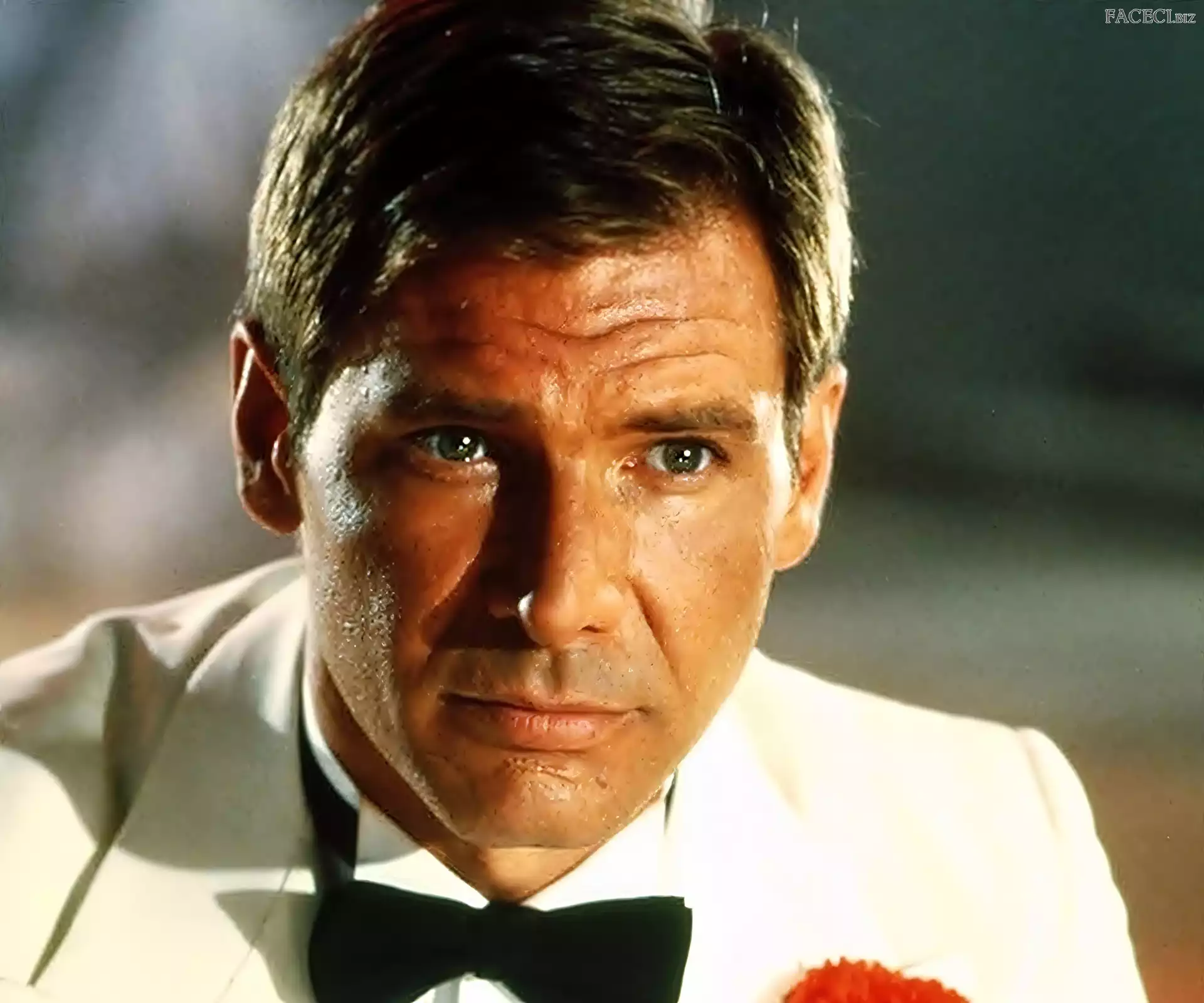 Aktor, Harrison, Ford