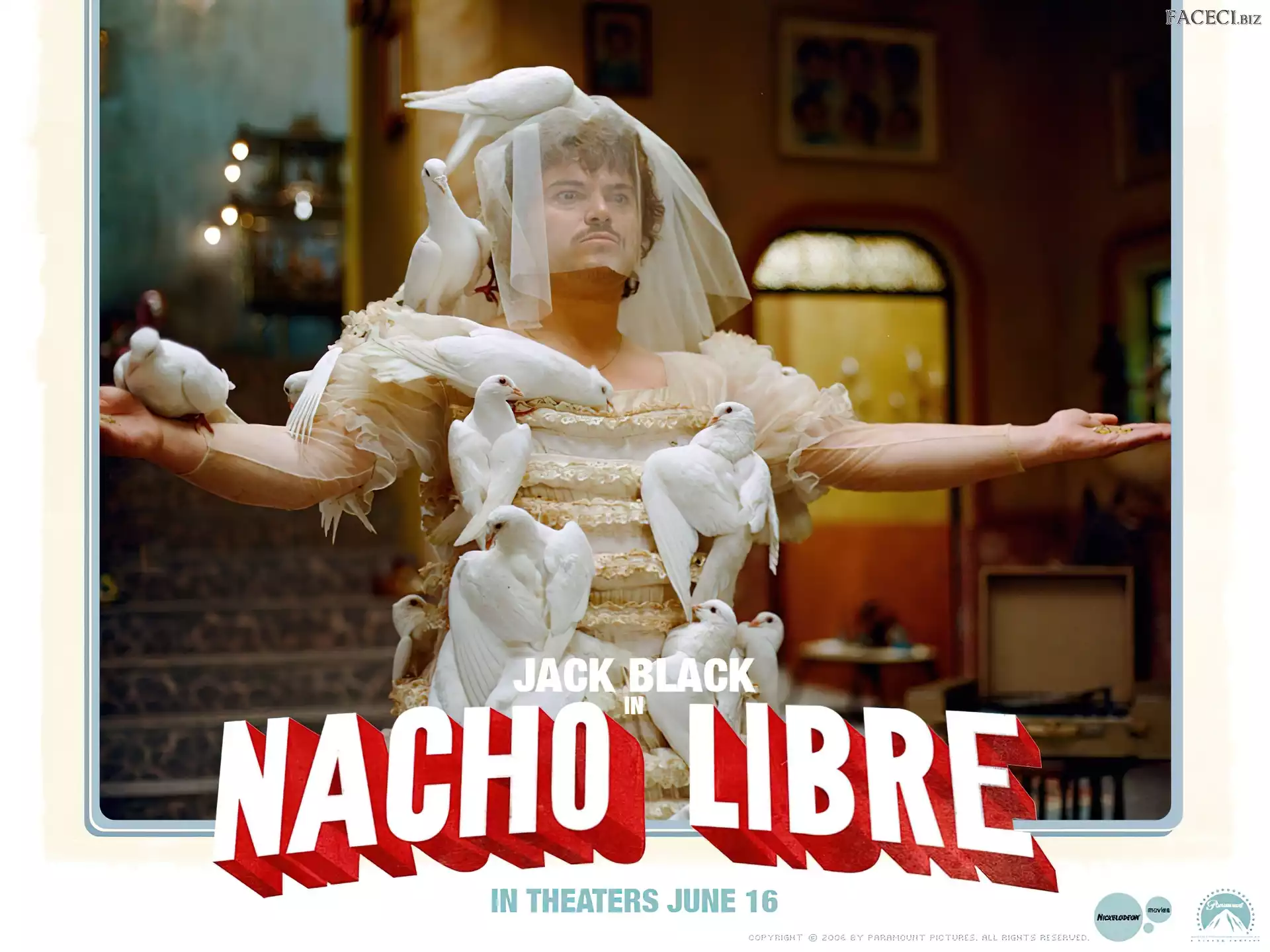 gołębie, welon, Jack Black, Nacho Libre, pokój